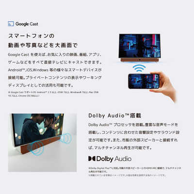 オリオン電機 24V型 バッテリー内蔵ポータブルチューナーレステレビ