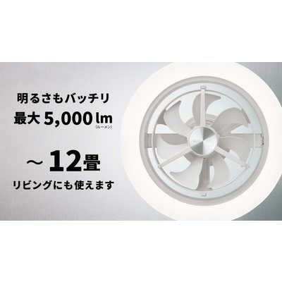 ドウシシャ LED照明 シーリングライト 12畳 調光 調色 音声 