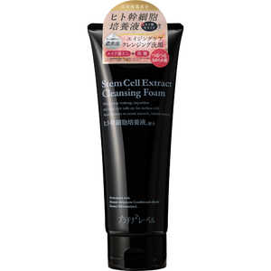 ɥ ץʥ졼٥ ҥȴ˦󥸥 200g
