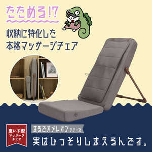ドウシシャ カメレオンシリーズ 実はひっそりしまえるんです ブラウンベージュ TTM2401 ドウシシャ カメレオンシリーズ 実はひっそりしまえるんです ブラウンベージュ TTM2401