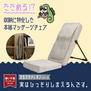 ドウシシャ カメレオンシリーズ 実はひっそりしまえるんです アイボリー TTM-2401 ドウシシャ カメレオンシリーズ 実はひっそりしまえるんです アイボリー TTM-2401