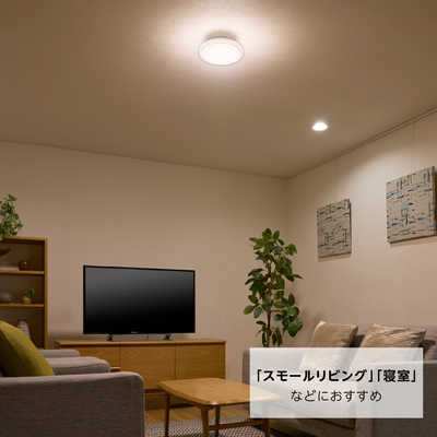 ドウシシャ LED照明 シーリングライト 8畳 昼白色 Luminous LED