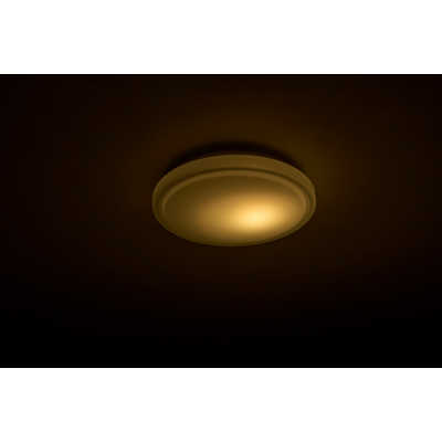 ドウシシャ LED照明 シーリングライト 8畳 昼白色 Luminous LED