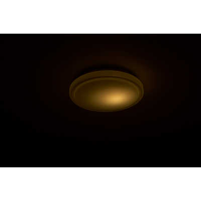 ドウシシャ LED照明 シーリングライト 8畳 昼白色 Luminous LED