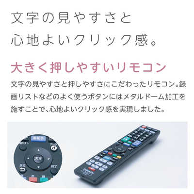 オリオン電機 液晶テレビ BASIC ROOM 24V型 ハイビジョン OL24SE100 の