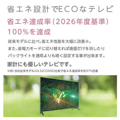 オリオン電機 液晶テレビ BASIC ROOM 32V型 ハイビジョン OL32SE100 の