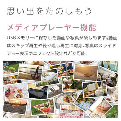 オリオン電機 液晶テレビ BASIC ROOM 32V型 ハイビジョン OL32SE100 の
