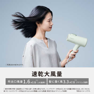 パナソニック Panasonic ヘアードライヤー ionity(イオニティ) アイス