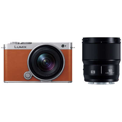 パナソニック Panasonic LUMIX S9 広角ズームレンズ・単焦点レンズ 