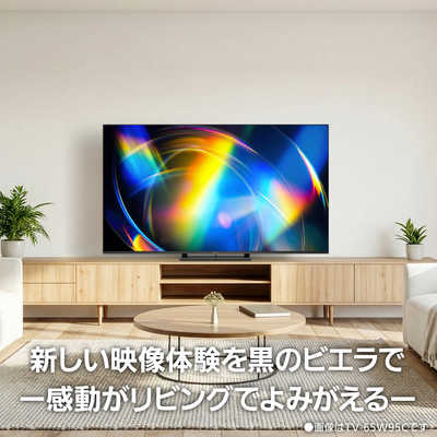 パナソニック Panasonic 4K液晶テレビ VIERA(ビエラ) ［50V型