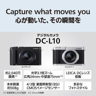 パナソニック Panasonic LUMIX L10 コンパクトデジタルカメラ ブラック