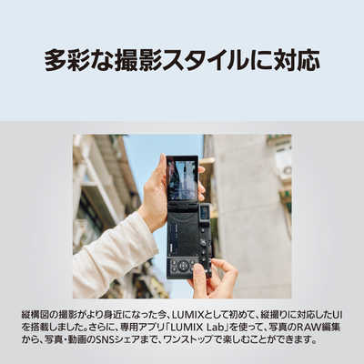 パナソニック Panasonic LUMIX L10 コンパクトデジタルカメラ シルバー