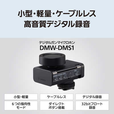 パナソニック Panasonic デジタルガンマイクロホン DMW-DMS1 の通販