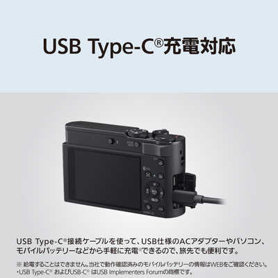 パナソニック Panasonic コンパクトデジタルカメラ LUMIX グラファイト