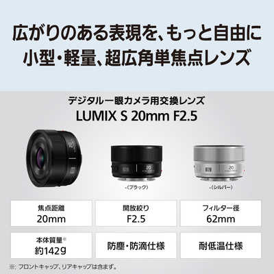 パナソニック Panasonic カメラレンズ LUMIX S 20mm F2.5 ［ライカL