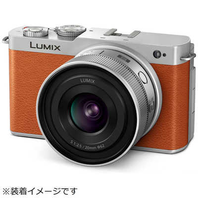 パナソニック Panasonic カメラレンズ LUMIX S 20mm F2.5 ［ライカL