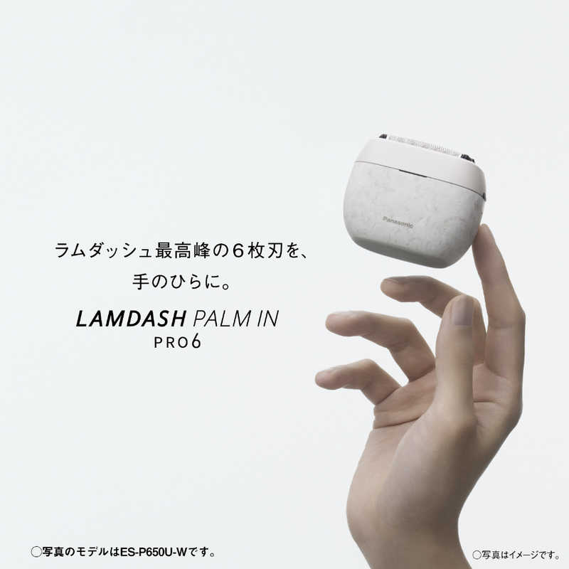 パナソニック　Panasonic パナソニック　Panasonic ラムダッシュ パームインPRO 6枚刃 ［6枚刃 / AC100V-240V］ マーブルブラック ES-P650U-K ES-P650U-K