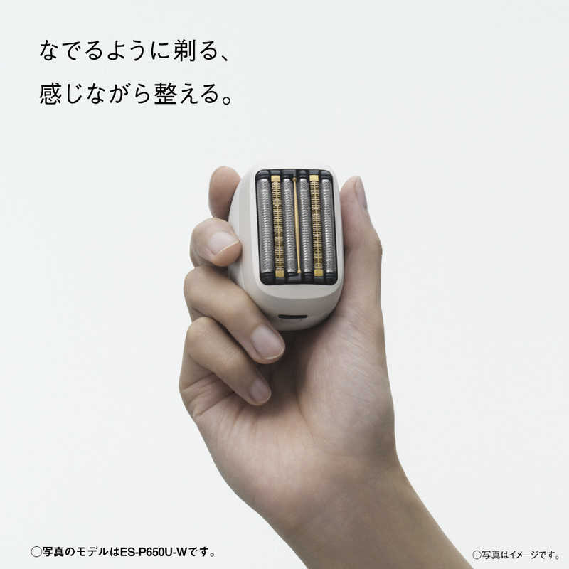 パナソニック　Panasonic パナソニック　Panasonic ラムダッシュ パームインPRO 6枚刃 ［6枚刃 / AC100V-240V］ マーブルブラック ES-P650U-K ES-P650U-K