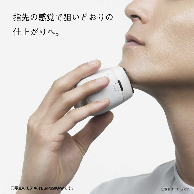 パナソニック　Panasonic パナソニック　Panasonic ラムダッシュ パームインPRO 6枚刃 ［6枚刃 / AC100V-240V］ マーブルブラック ES-P650U-K ES-P650U-K