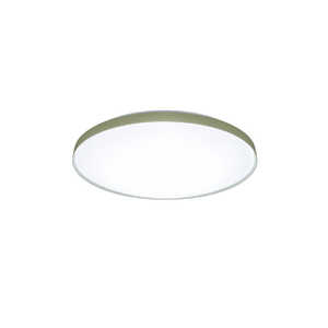 �p�i�\�j�b�N Panasonic LED�V�[�����O���C�g �J���[�t���[���V���[�Y �A�[�X�J���[ �m12�� / �����F?�d���F / �����R���t���n ���X�O���[�� HH-CN1247A-G