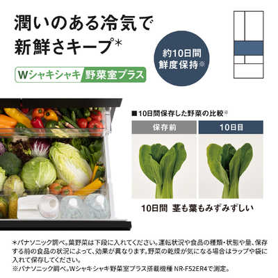 お盆限定破格【本日削除】Panasonic 冷蔵庫 パナソニック Panasonic 冷蔵庫 ERタイプ ［65cm / 515L / 6ドア