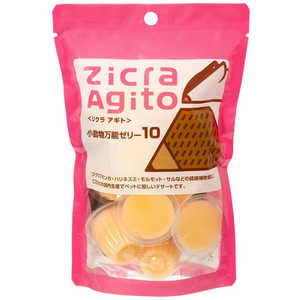 �W�N�� Agito ���������\�[���[ 10����