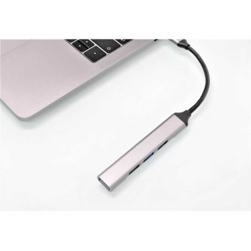 ルーメン ルーメン USBハブ Type-C シルバー [バスパワー / 4ポート / USB3.0×1 USB2.0×3] シルバー [バスパワー /4ポート /USB3.0対応] LUHCA3123 LUHCA3123