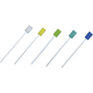 t@[XgCg oPApX|W 300{(5F×60{)