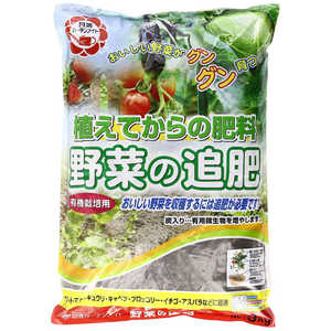 日清ガーデンメイト 野菜の追肥 3kg ヤサイノツイヒ 日清ガーデンメイト 野菜の追肥 3kg ヤサイノツイヒ