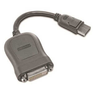 レノボジャパン　Lenovo 0.2m[DisplayPort オス→メス DVI-D] 変換アダプタ 45J7915