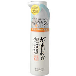 アスティ がばいよか泡洗顔 200ml ガバイヨカセンガン