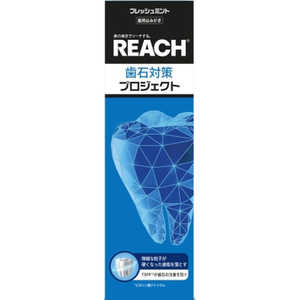 銀座ステファニー リーチ 歯石対策 プロジェクト 歯みがき 120g 銀座ステファニー リーチ 歯石対策 プロジェクト 歯みがき 120g