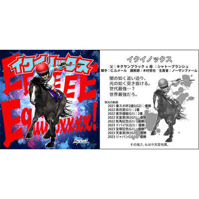 ジェンコ (BOX)グレートホース馬ン列伝シール 10枚入り の通販