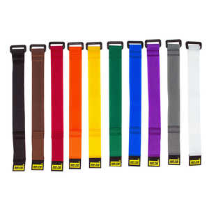 RIPTIE シンチストラップ 25.4mmX1219.2mm 10本入 虹 N-48-010-RW