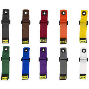 RIPTIE シンチストラップEG 25.4mmX254mm 10本入 RIP-TIE 虹 N-10-G10-RW