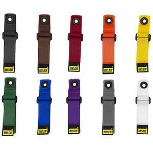 RIPTIE シンチストラップEG 25.4mmX863.6mm 10本入 RIP-TIE 虹 N-34-G10-RW