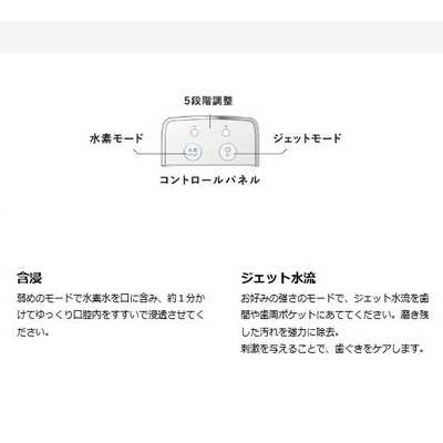 フラックス ティータイム ジェットウォッシャー FLTM19N の通販