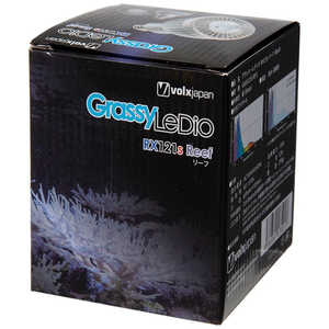 �ܥ륯������ѥ� Grassy LeDio RX121s Reef �� GLRX121SRFS