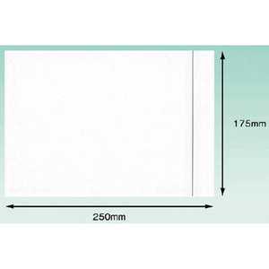 パピルスカンパニー デリバリーパック(A5サイズ用)175×250(1パック100枚) PA005T