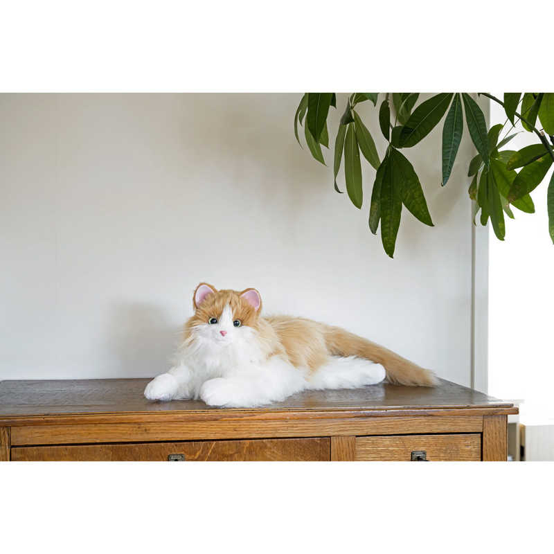 お買い得品 デジレクト しっぽふりふり あまえんぼうねこちゃん
