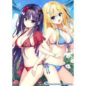 IMEL Switch�����ॽ�ե� �ڽ����ŵ�դ��� ���쥯�ȥ��֥꡼���� ������������ MDSW-00003