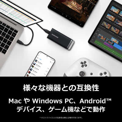 SAMSUNG Portable SSD T5 EVO ［ポータブル型］ MU-PH8T0S-IT の通販