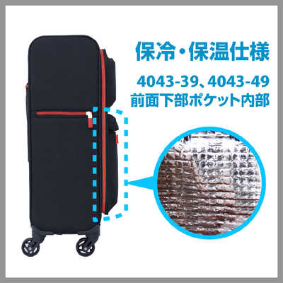 レジェンドウォーカー 最軽量ソフトキャリーバッグ 日帰り～1泊 28L