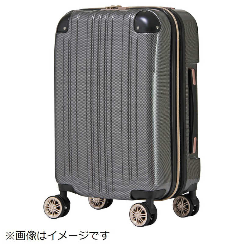 半額SALE／ レジェンドウォーカー スーツケース 32L 39L カーボン 5122