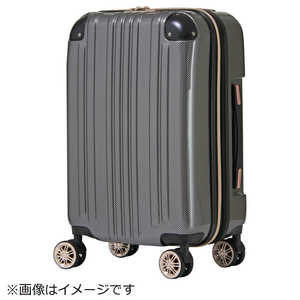 レジェンドウォーカー スーツケース カーボン [TSAロック搭載 /32L(39L) /2泊～3泊] 5122-48-CB