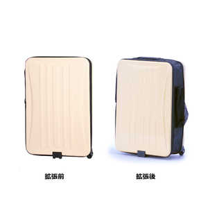アジア・ラゲージ Locobox 55cm LC-5725-18 (スーツケース
