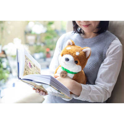 パートナーズ こんにちワン！ しばいぬコウタ(バンダナ付き