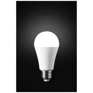 かりはな製作所 防災電球2025モデル KS01NーWH 昼白色 KS01NWH