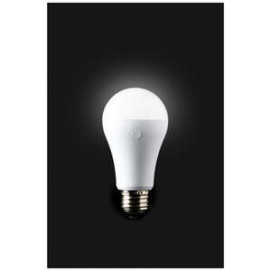 かりはな製作所 防災電球 昼白色 KS02WH