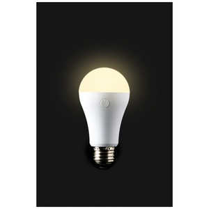 かりはな製作所 防災電球 電球色 KS02OR